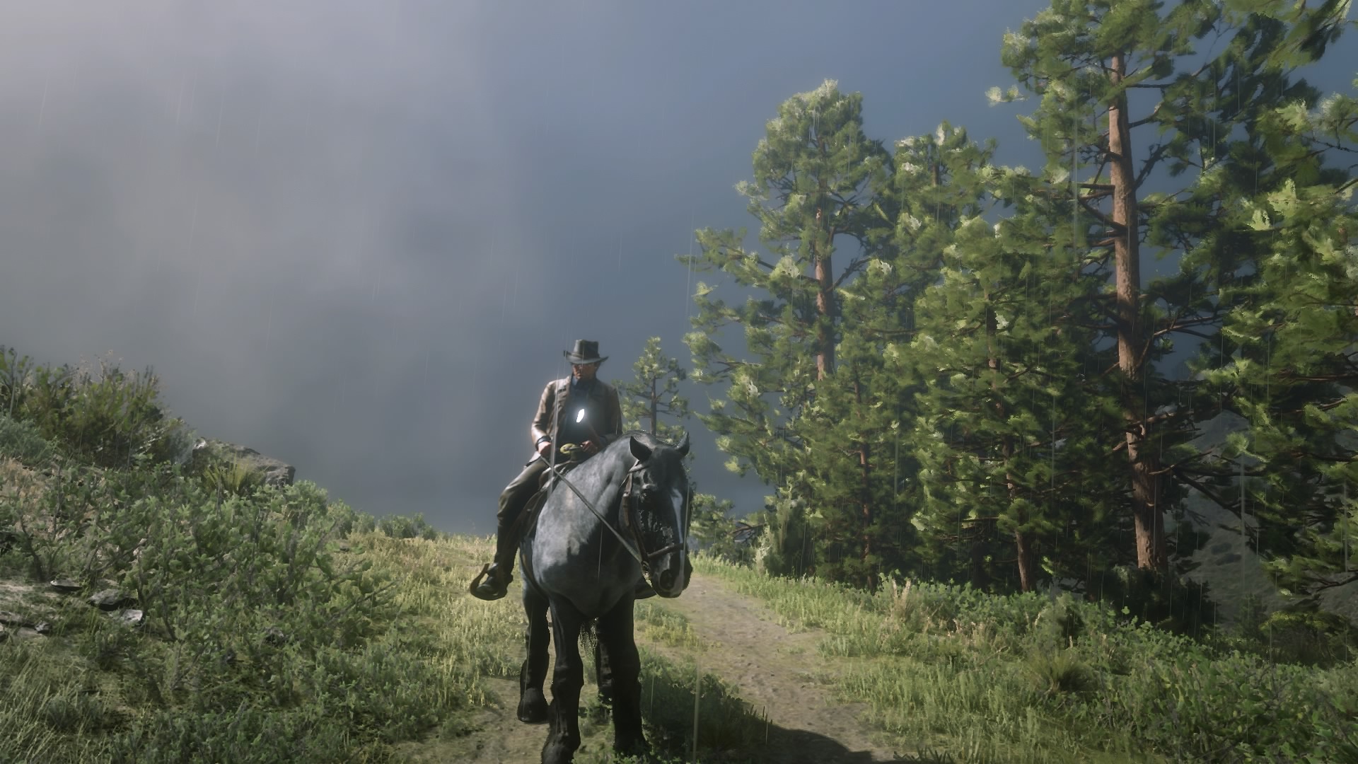 Attached picture Red Dead Redemption 2_20181031180706.jpg